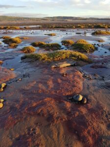 Iron beach