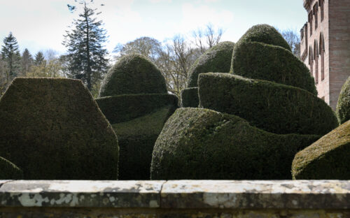 Hutton Blog Small-1 Topiary