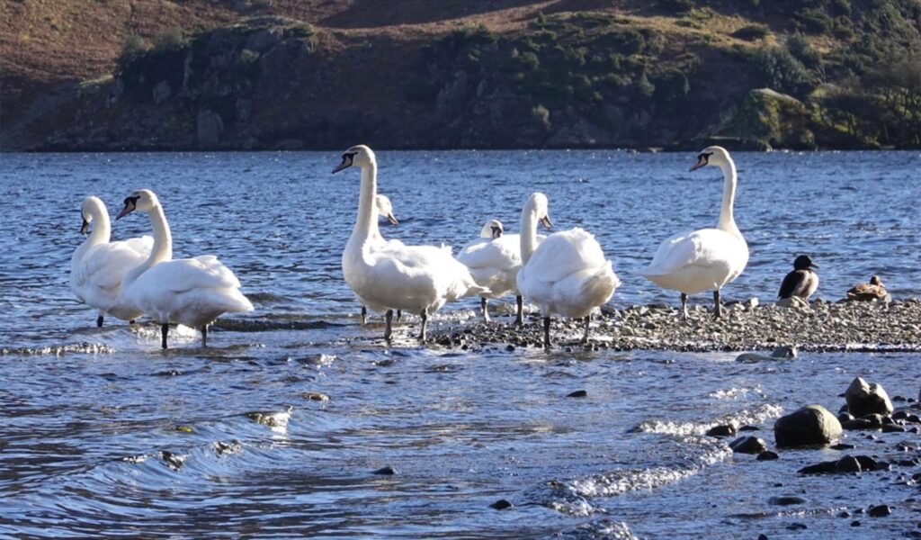 The Grand Lakes Tour
