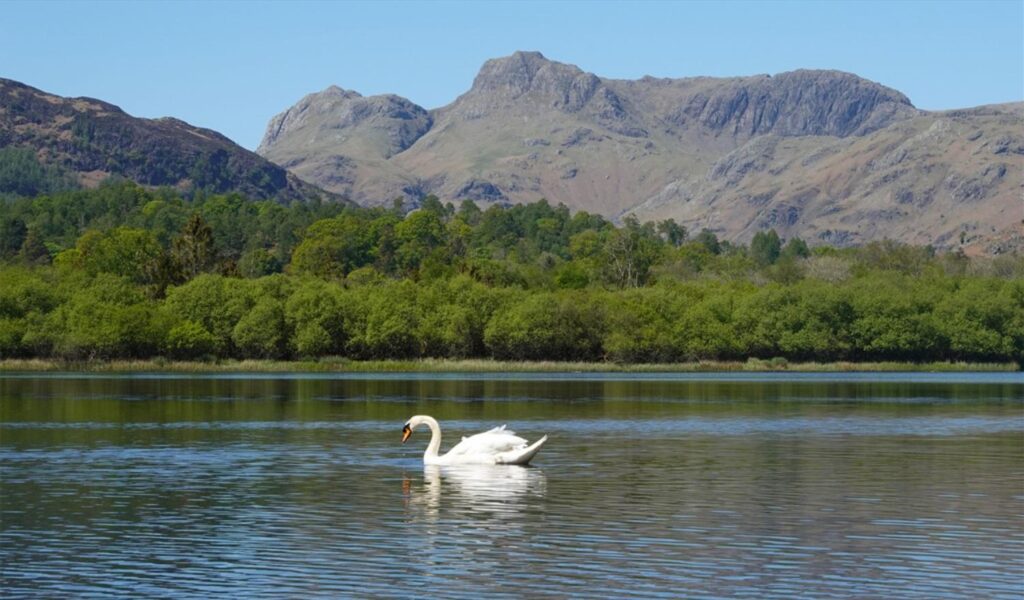 The Grand Lakes Tour