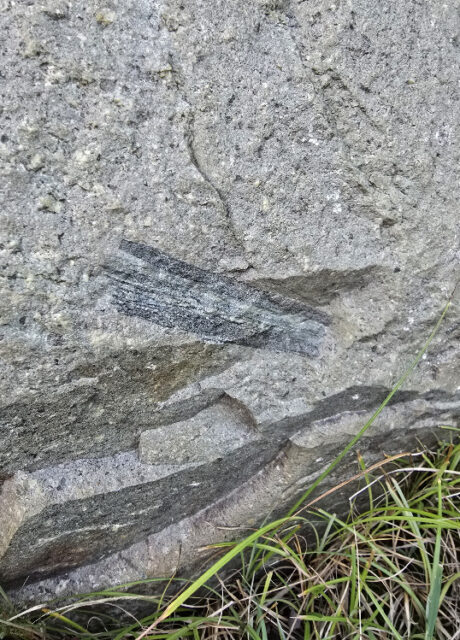 xenolith